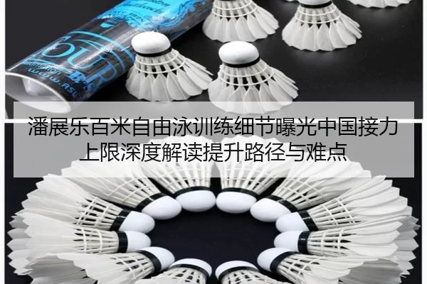 潘展乐百米自由泳训练细节曝光中国接力上限深度解读提升路径与难点